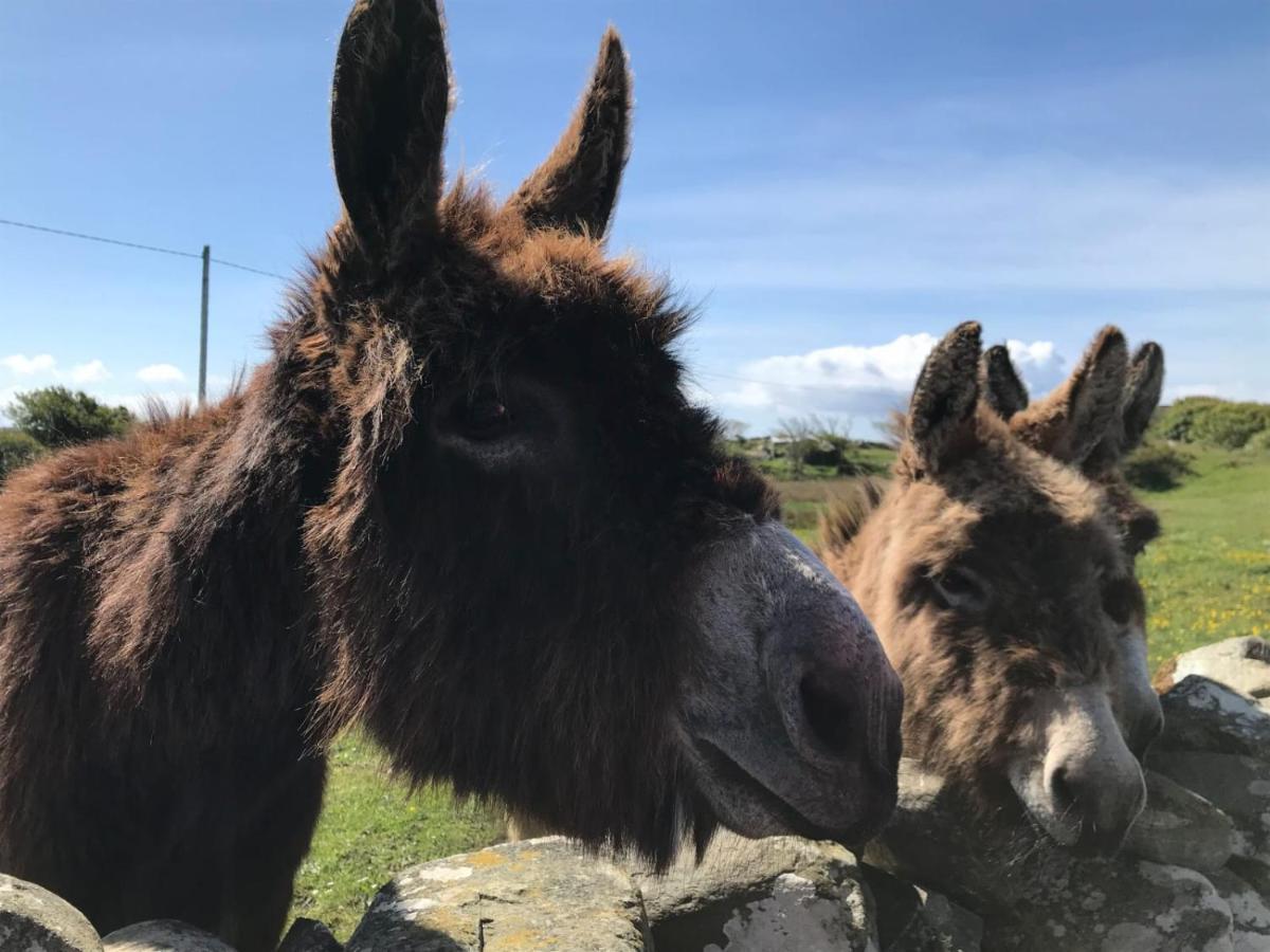 Kilronan Cottage Ballyconneely Bagian luar foto