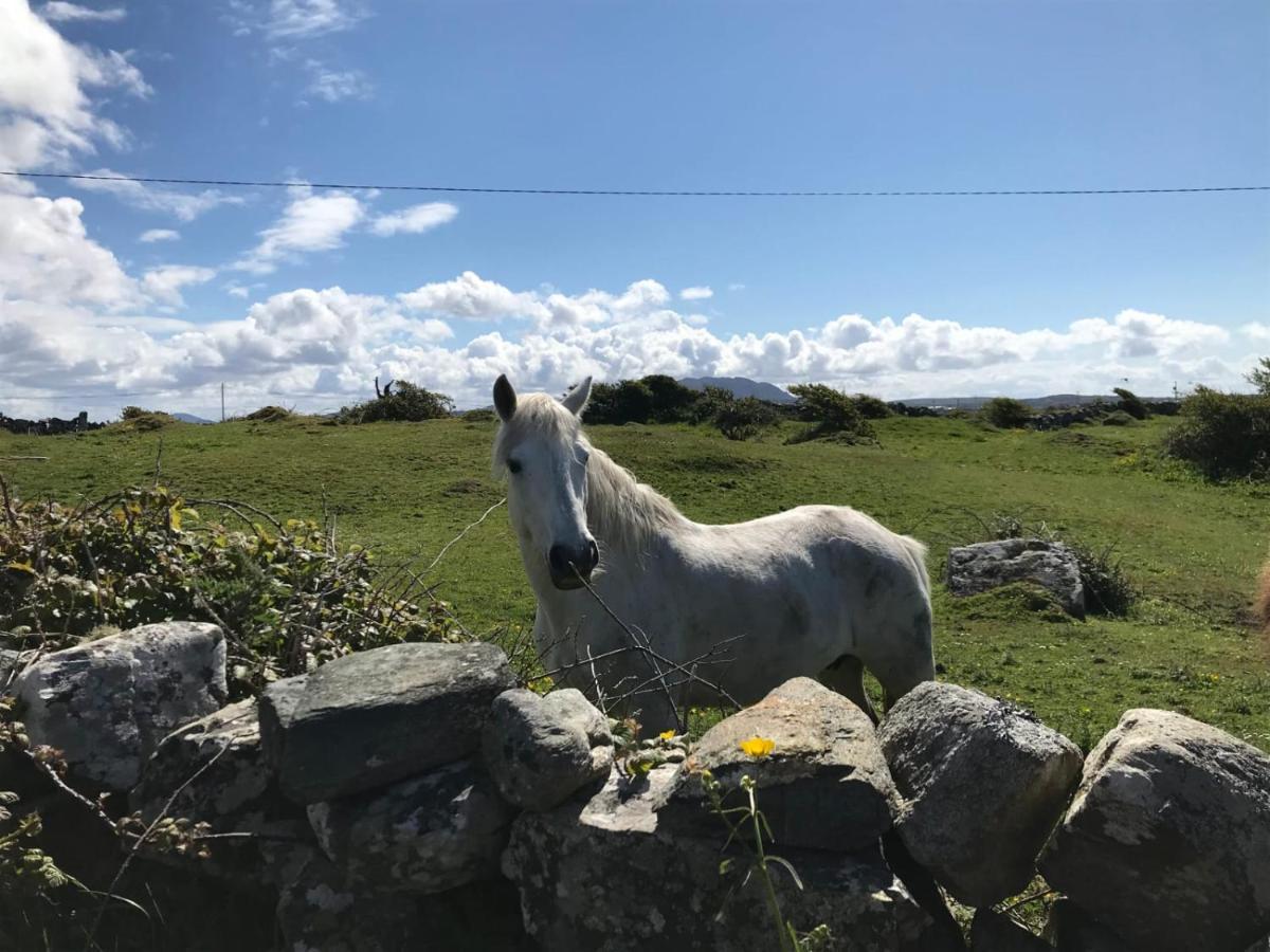 Kilronan Cottage Ballyconneely Bagian luar foto